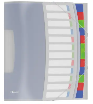Esselte organizator mapa VIVIDA, A4, PP, 12 predelkov, večbarvna