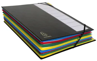 EXACOMPTA mapa harmonika, PP, 12 predelkov, 3 barve