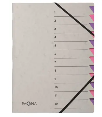 Organizator mapa PAGNA, Easy Grey, A4, 12 predelkov, sivo/vijolična