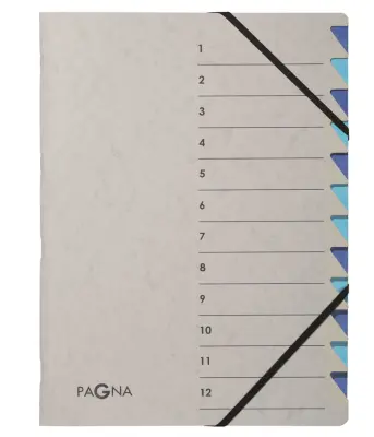 Organizator mapa PAGNA, Easy Grey, A4, 12 predelkov, siva / modra