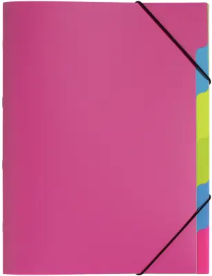 Organizator mapa PAGNA, Funky School, DIN A4, PP, 5 predelkov
