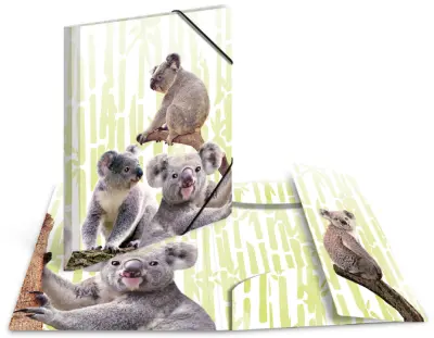 HERMA kotna mapa Eksotične živali, A4, družina koala