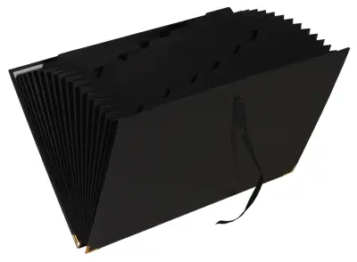 Razširljiva mapa EXACOMPTA Office by Me, 18 predelkov, črna