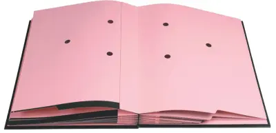 Mapa s podpisom EXACOMPTA, DIN A4, 20 predelkov, modra