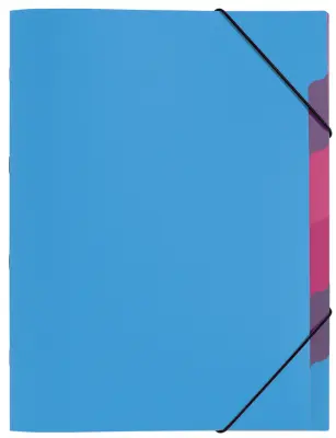 Organizator mapa PAGNA, Funky School, DIN A4, PP, 5 predelkov