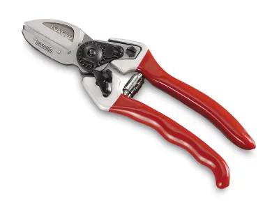 Ausonia 81006 Škarje za obrezovanje vej 19,5 cm