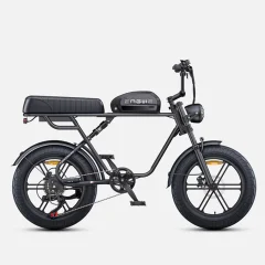 ENGWE M1 E-kolo v slogu motocikla 48 V 13 Ah 250 W 65 Nm navora za dvojno osebo - črna