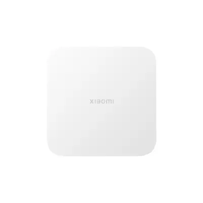 XIAOMI centralna postaja za zunanje kamere (BW300/BW500)