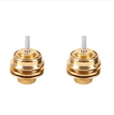 Zavarujte svojo kitaro: Komplet 2 srebrnih ključavnic za trak kitare Gold