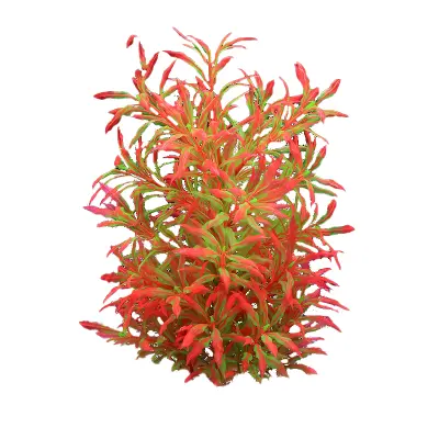 Dekorativna umetna vodna rastlina   Model 6