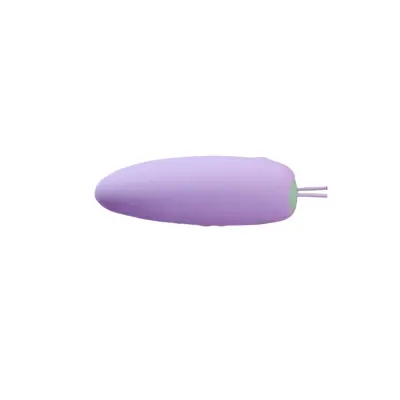 Električni osebni vibrator krogle Mizzzee 09074776 120min