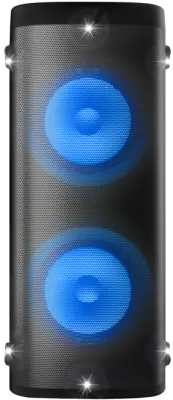 Karaoke zvočnik VIVAX BS-1001