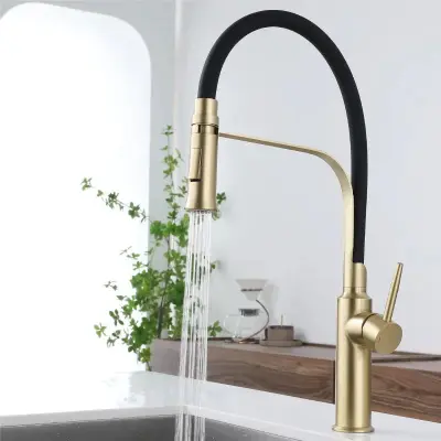 Dizajn kuhinjske pipe | Kuhinjska mešalna pipa s gibljivo cevjo in pršilno glavo | Marciaro