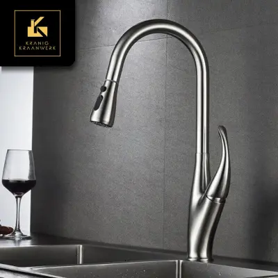 Kuhinja | Dizajn Mešalna pipa | Izvlecite cev | Labod