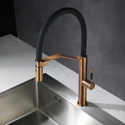 Vrhunski razred | Dizajn kuhinjske pipe | Kuhinjska mešalna pipa s gibljivo cevjo in pršilno glavo | marikander