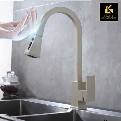 Senzorska pipa Kuhinja | Izjemna kuhinjska pipa | Pipa z izvlečno cevjo | Škatle vse naokoli