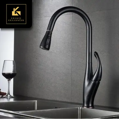 Kuhinja | Dizajn Mešalna pipa | Izvlecite cev | Labod