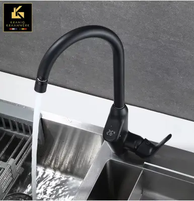 Vrhunski razred | Dizajn kuhinjske pipe | Mešalna armatura s prikazovalnikom temperature in gibljivo cevjo | Večernice