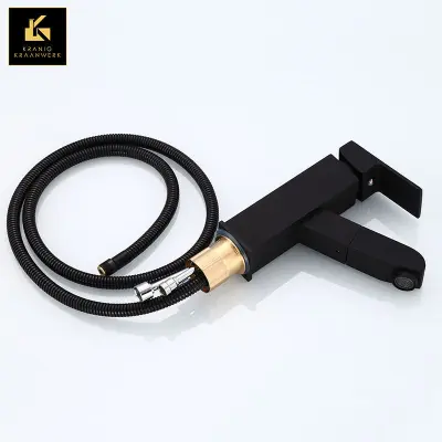 Butik in salon Tap | Dizajn Mešalna pipa | Izvlecite cev | Frizerska pipa | Lex