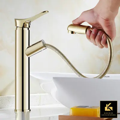 Salon in butik pipe| Dizajn Mešalna pipa | Izvlecite cev | Lotte