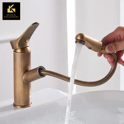 Salon in butik pipe| Dizajn Mešalna pipa | Izvlecite cev | Lotte