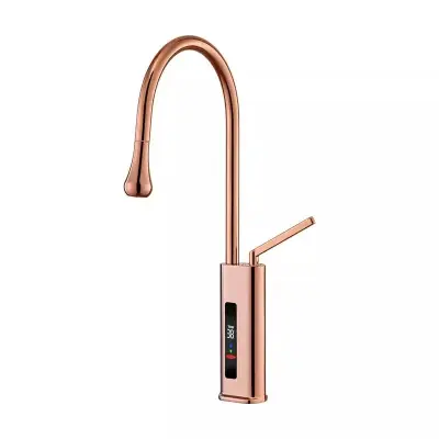 Dizajn Mešalna pipa | S prikazovalnikom temperature | Padec širine