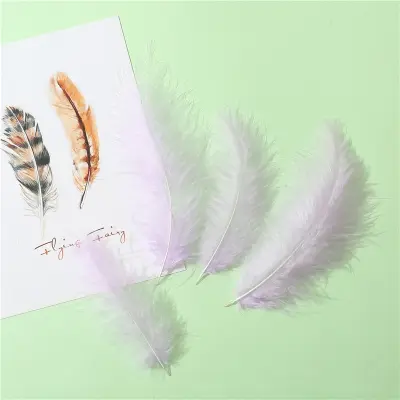 100 kosov puhastega Marabujevega perja za Crafts Dreamcatcher White