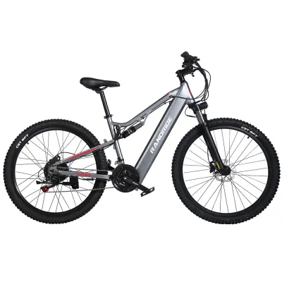 RANDRIDE YG90A električno kolo za odrasle, 1000 W brezkrtačni motor, največja hitrost 50 km/h, baterija velike kapacitete 48 V 17 Ah
