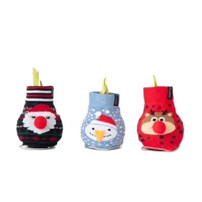 Amarilis - 3 kos - Hippeastrum 'Xmas Sweater Mix' - Cvetna čebulica - Rdeča