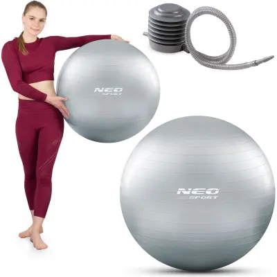 65 cm Silver Exercise Ball - Ergonomic Anti-Burst Fitness Ball for Home Workouts