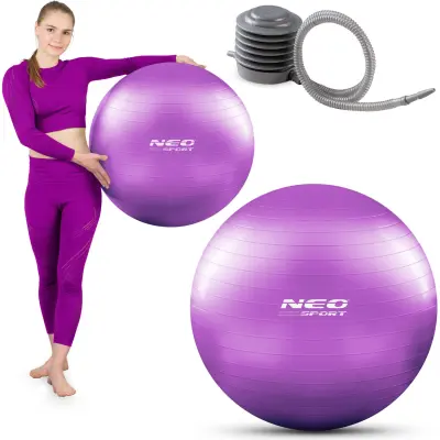 65 cm Purple Exercise Ball - Ergonomic and Safe for Fitness & Rehabilitation