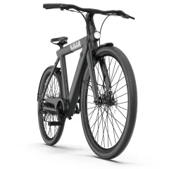 Demo - Bird Bike A FRAME DEMO