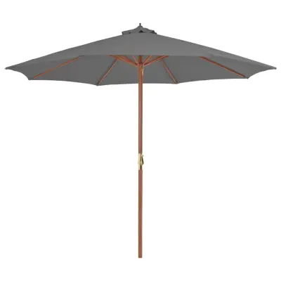 The Living Store Zunanji senčnik z lesenim drogom 300 cm antracit - Senčnik
