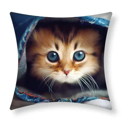 Komplet 2 prevlek za blazino 40x40 cm Kitten Jeans Design, Večbarvno