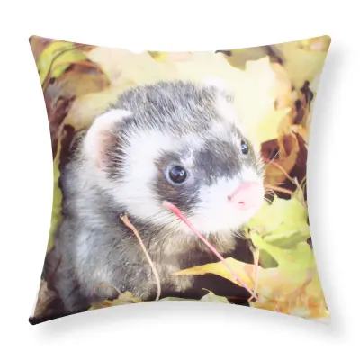 Komplet 2 prevlek za blazino 40x40 cm Ferret Design, Večbarvno