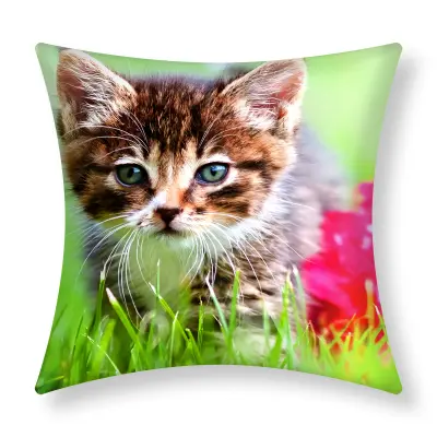 Komplet 2 prevlek za blazine 40x40 cm Kitten Design in the Garden, Večbarvno