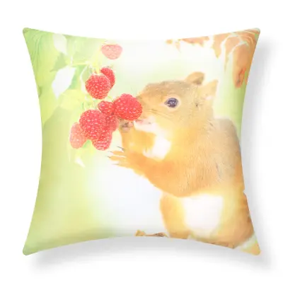 Komplet 2 prevlek za blazino 40x40 cm Veverica Design, Večbarvno