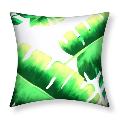 Komplet 2 prevlek za blazino 40x40 cm Deliciosa Design, Blanc / Vert