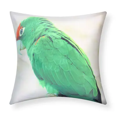 Komplet 2 prevlek za blazine 40x40 cm Zelena Macaw Design, Blanc / Vert