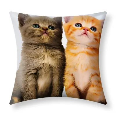 Komplet 2 prevlek za blazine 40x40 cm Dva mačkona Design, Večbarvno