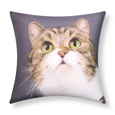Komplet 2 prevlek za blazino 40x40 cm Mačja muca (Cat Whiskers Design), Večbarvno