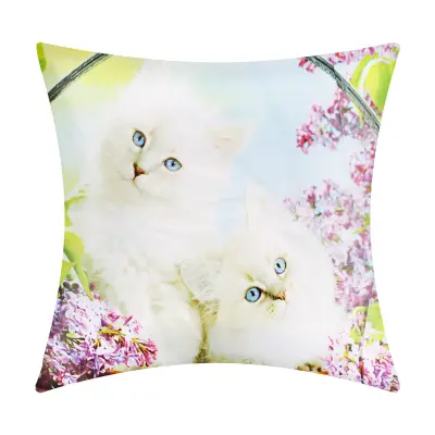 Komplet 2 prevlek za blazine 40x40 cm Oblikovanje bele mačke, Večbarvno
