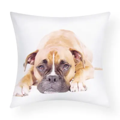 Komplet 2 prevlek za blazino 40x40 cm Boxer Dog Design, Bela