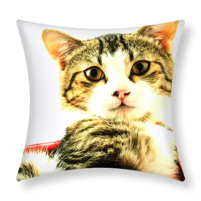 Komplet 2 prevlek za blazine 40x40 cm Mačka Design Rožnata košara, Večbarvno