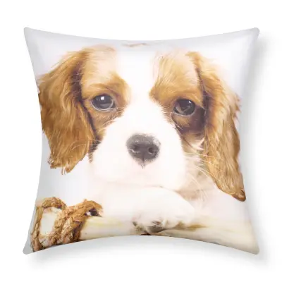 Komplet 2 prevlek za blazine 40x40 cm King Charles Dog Design, Bela