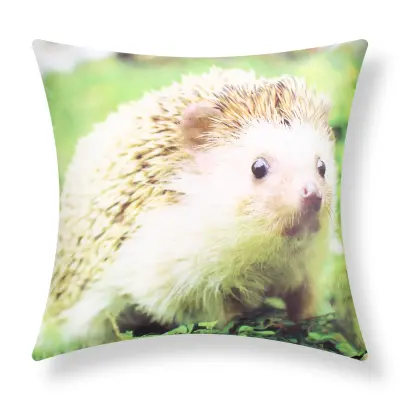 Komplet 2 prevlek za blazine 40x40 cm z motivom ježa na vrtu, Večbarvno