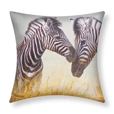 Komplet 2 prevlek za blazino 40x40 cm z motivom zebre, Večbarvno