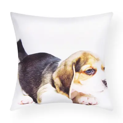 Komplet 2 prevlek za blazine 40x40 cm Oblikovanje psa beagle, Bela