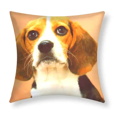 Komplet 2 prevlek za blazino 40x40 cm Design Beagle Dog, Rjava