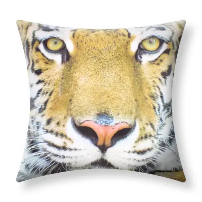 Komplet 2 prevlek za blazino 40x40 cm z motivom tigra, Večbarvno